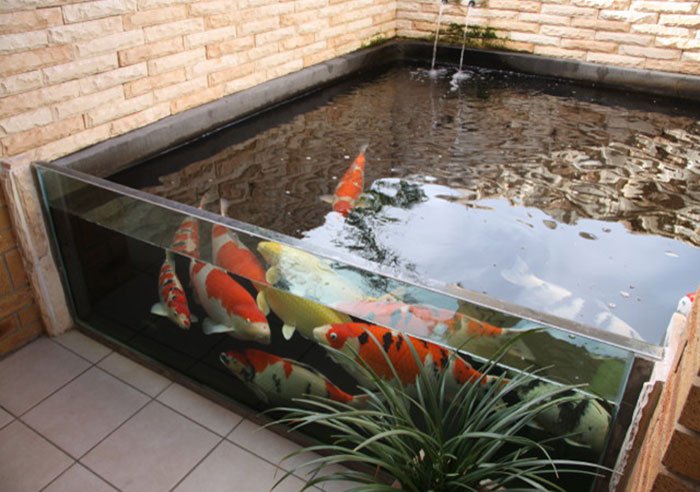 koi bang kinh