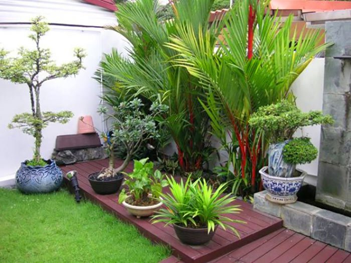 cay xanh cho canh san vuon nha pho