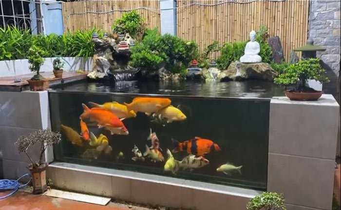 hồ cá koi mini bang kinh