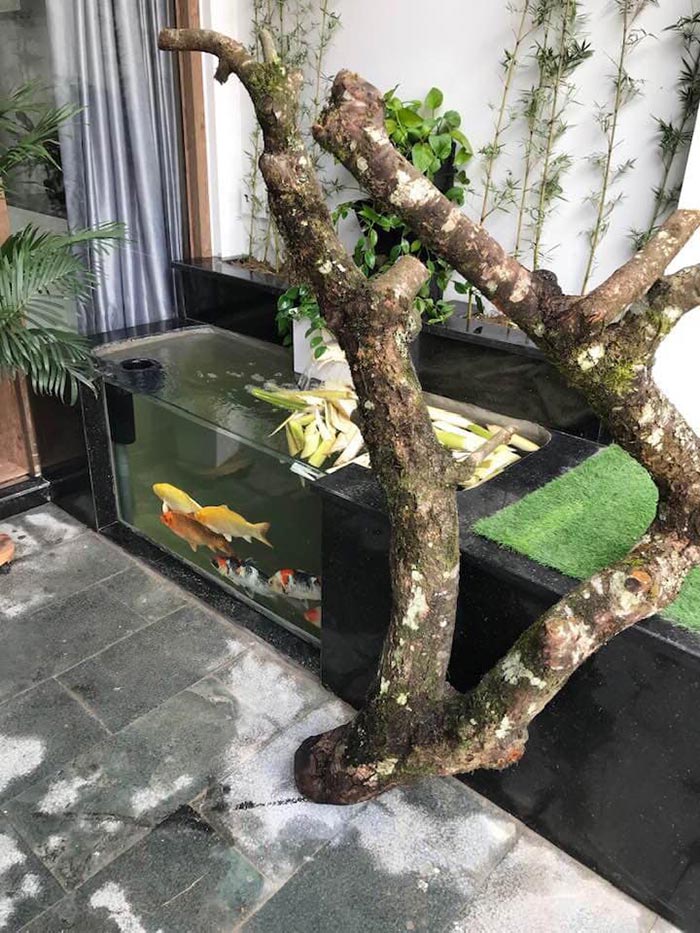 Bộ trang phục hết bóng