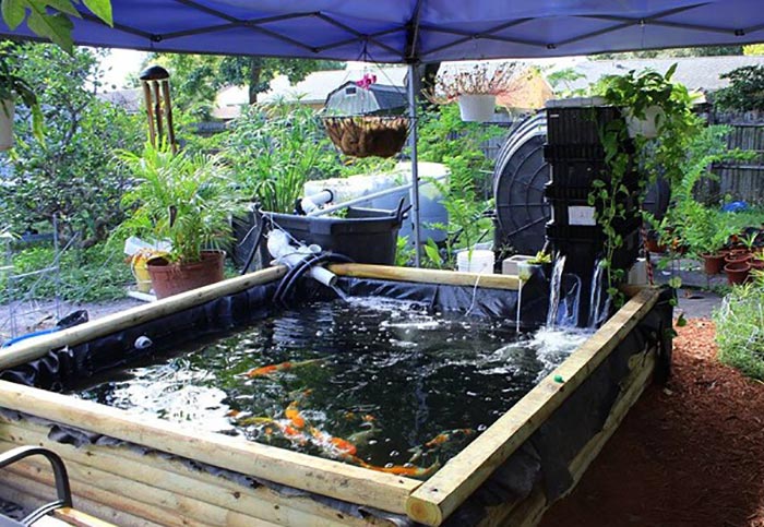 bạn có hát không?