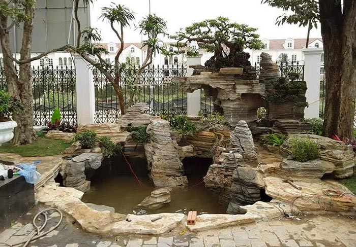 thiết kế của koi mini
