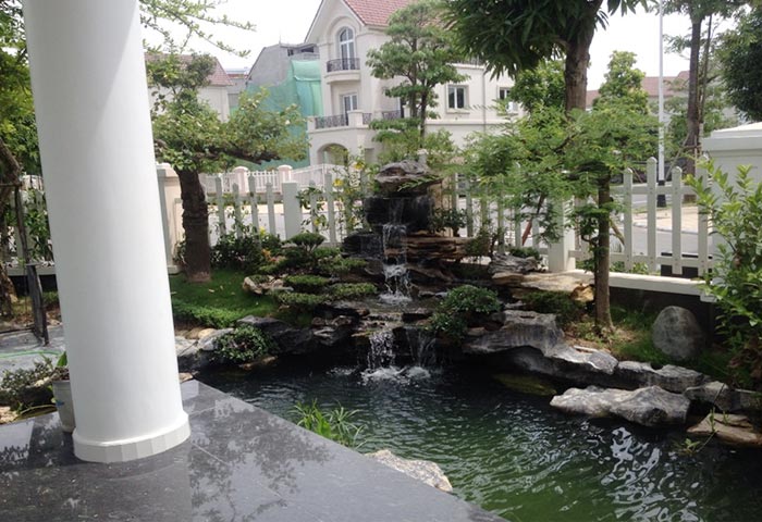 thiết kế của koi mini